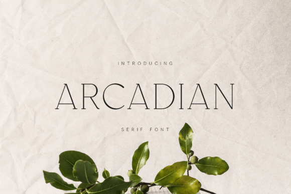 Arcadian Typeface: A Designer’s Journey Through a Brand Identity Project