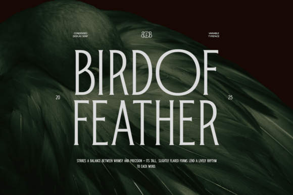 Bird of Feather: A Typeface That Elevates Brand Design