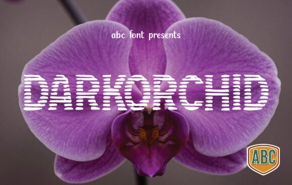 Darkorchid: A Luxe Typeface for Digital Branding