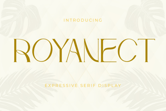Royanect: A Premium Serif Font for a Polished Brand Look