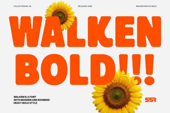 Walken: A Bold, Rounded Typeface for Modern Web Design